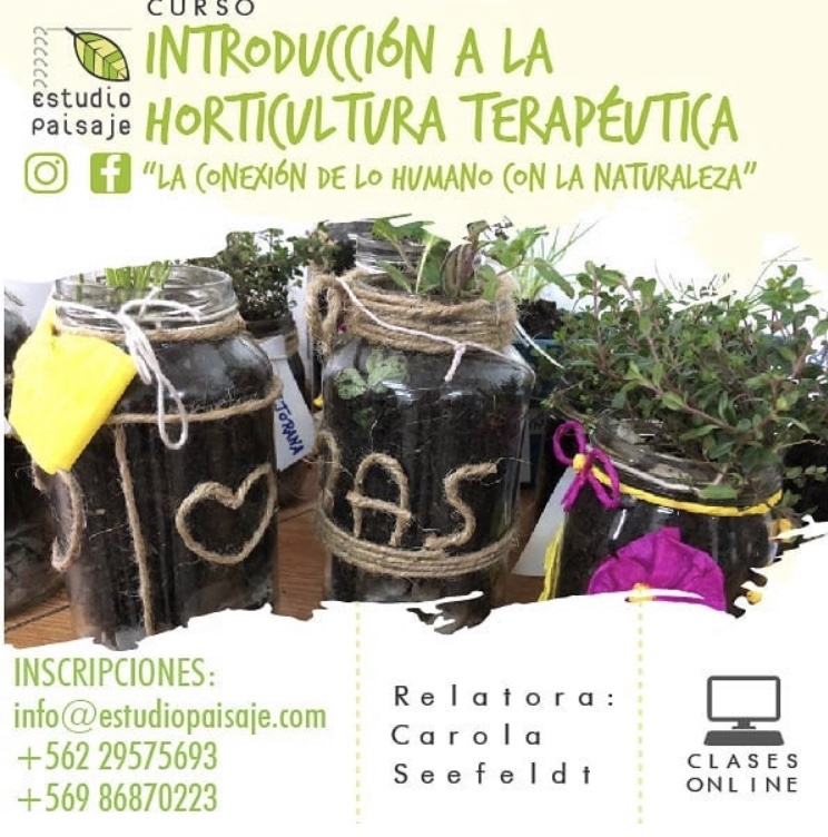 Curso Online de Horticultura Terapéutica