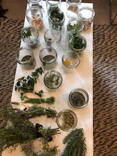 Talleres de Horticultura Terapéutica