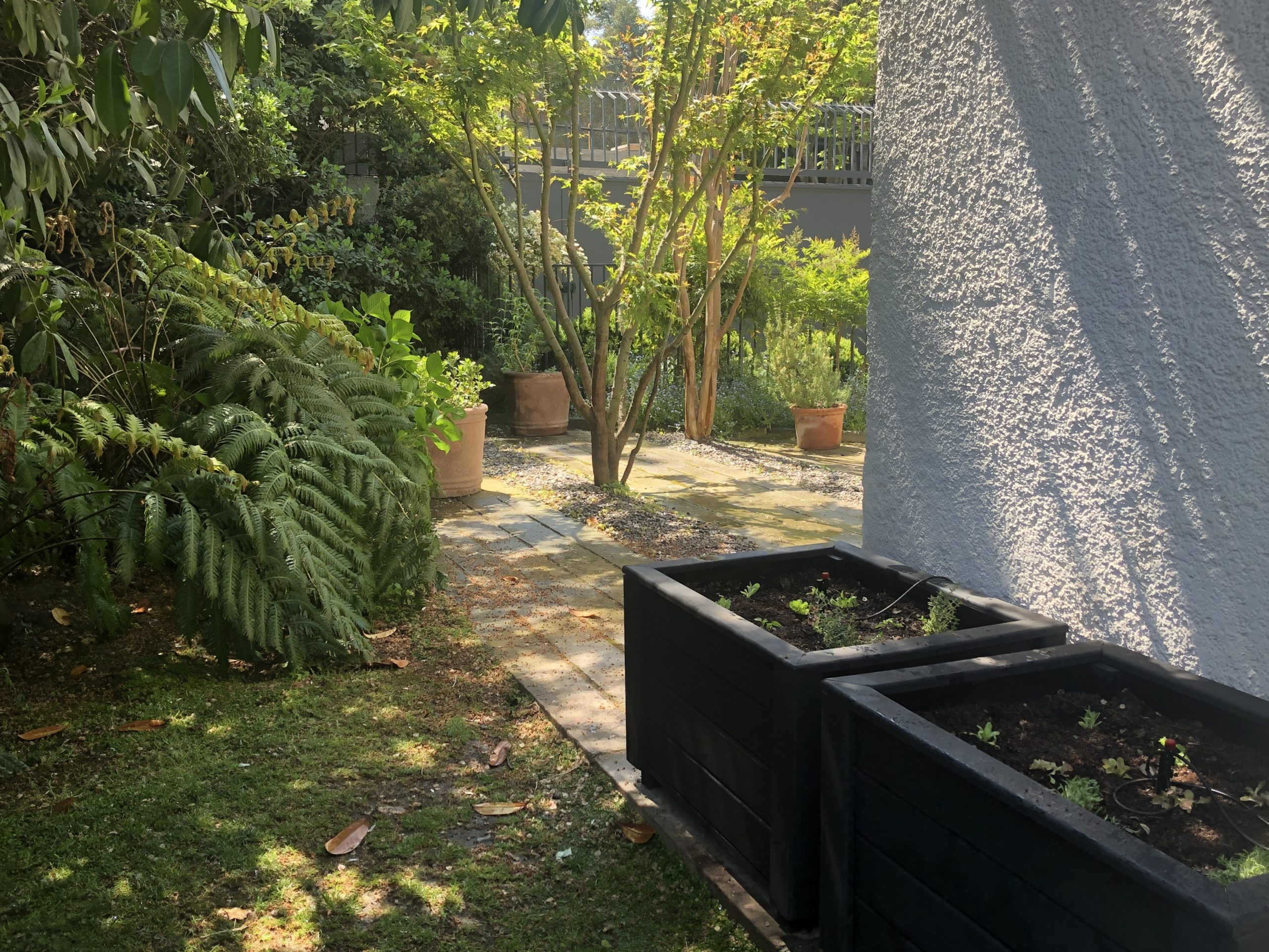 Todos los espacios sirven para instalar un huerto