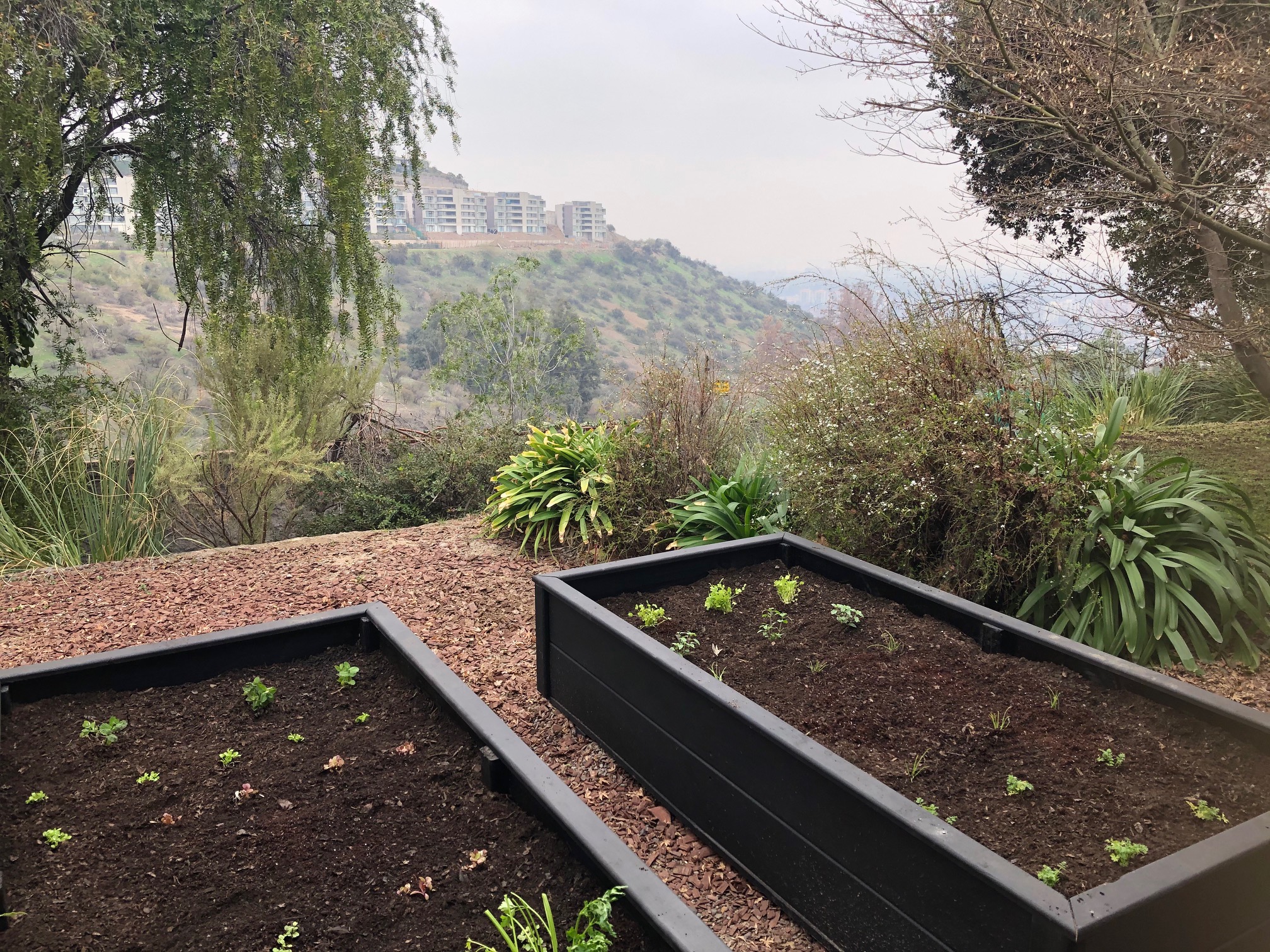 Nuevos aires en el jardín