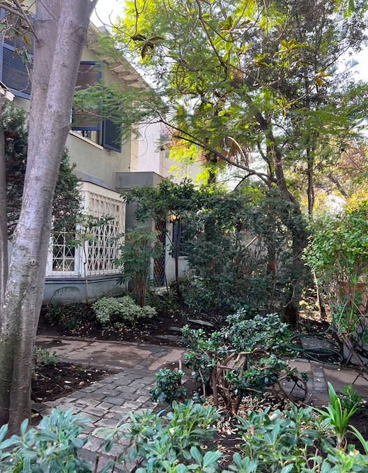 Renovación jardín