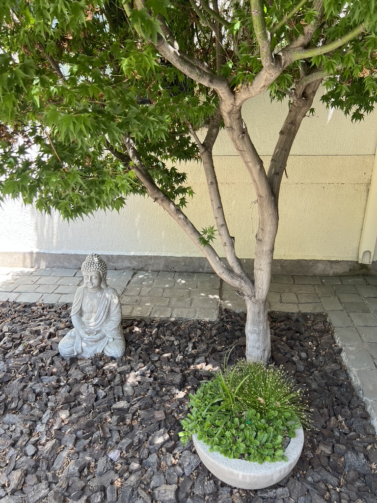 Jardín con inspiración japonesa